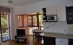 Alpin Residence