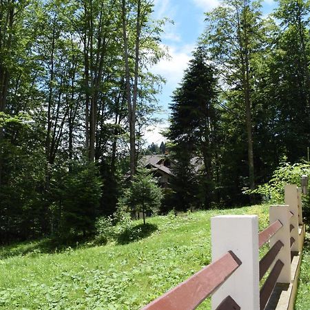 Alpin Residence Синая Екстериор снимка