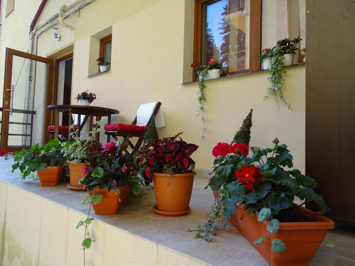 Alpin Residence Синая Екстериор снимка