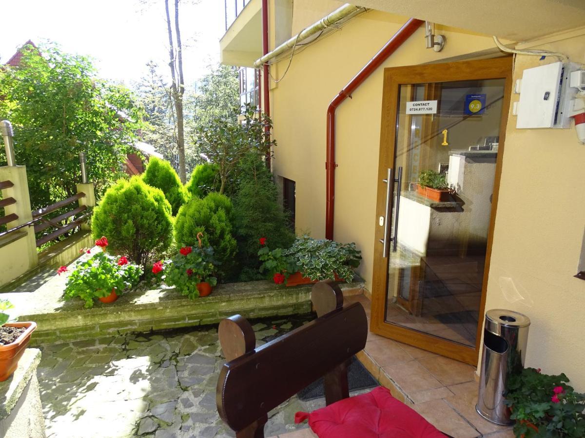 Alpin Residence Синая Екстериор снимка
