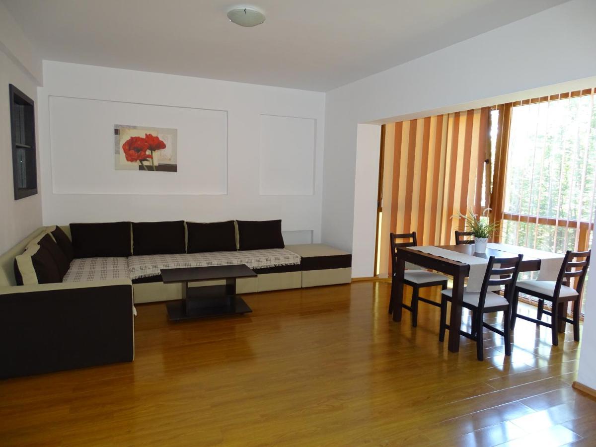 Alpin Residence Синая Екстериор снимка