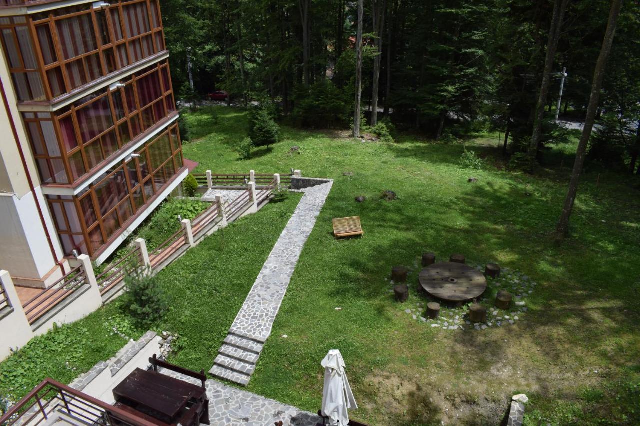 Alpin Residence Синая Екстериор снимка
