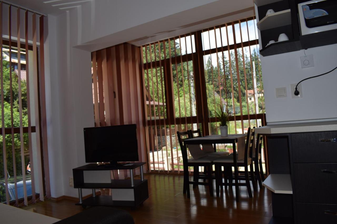 Alpin Residence Синая Екстериор снимка